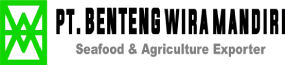 BWM Logo